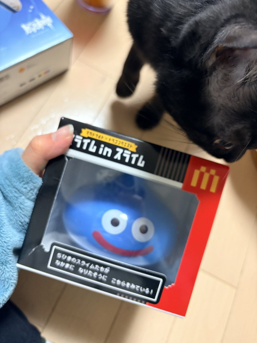 F.Tさやか/さや姉🐒🐦🏍🐼 (@sayaka_i_s) / Posts / X