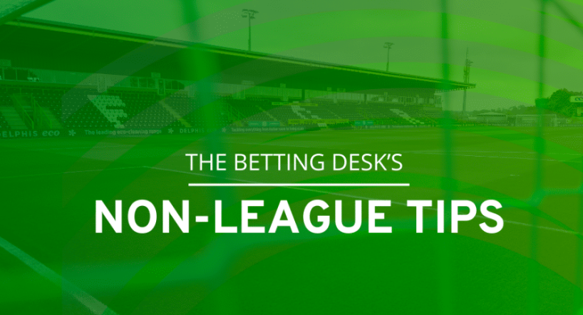 mrfixitstips's tweet image. The excellent National League column from @thebettingdesk is here. 13.8% ROI for the season.

The data have been crunched and this is the output. 

mrfixitstips.co.uk/non-league-bet…