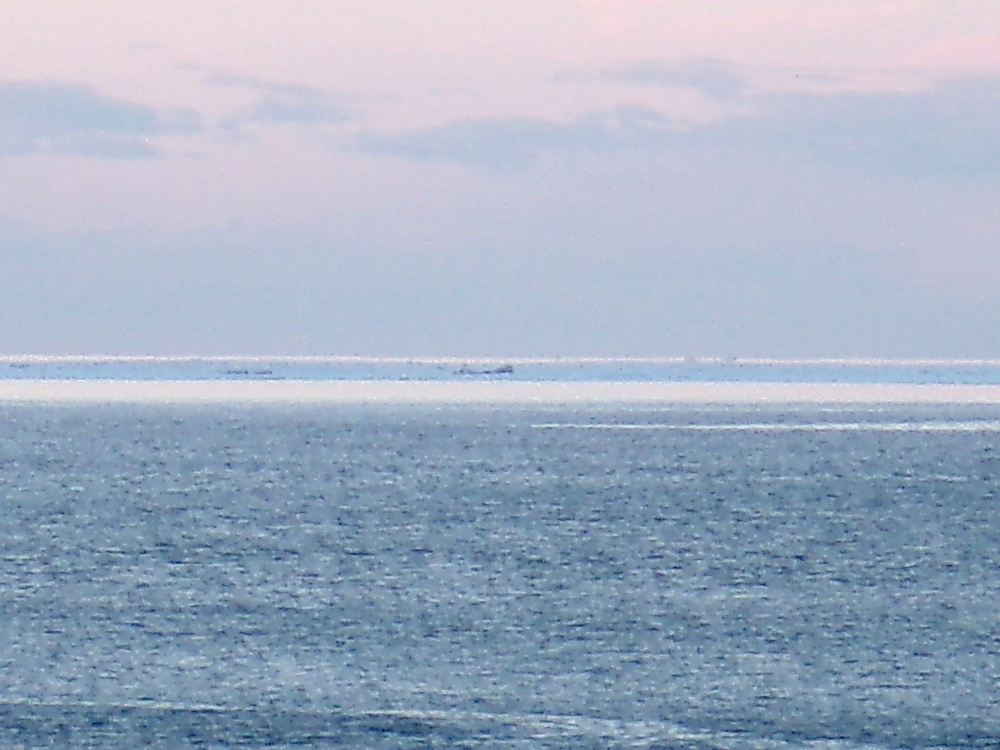 妻へのプレゼント用の絵を描いて、家の掃除をして、「・・・来てるよ」との噂の流氷を確認しにドライブへ行ってきました。自宅のある斜里からは遠かったので...結局はウトロ方面の遠音別川まで。この写真(2枚目)では流氷？という感じですが、ありました。風向きによって明日以降に期待です。