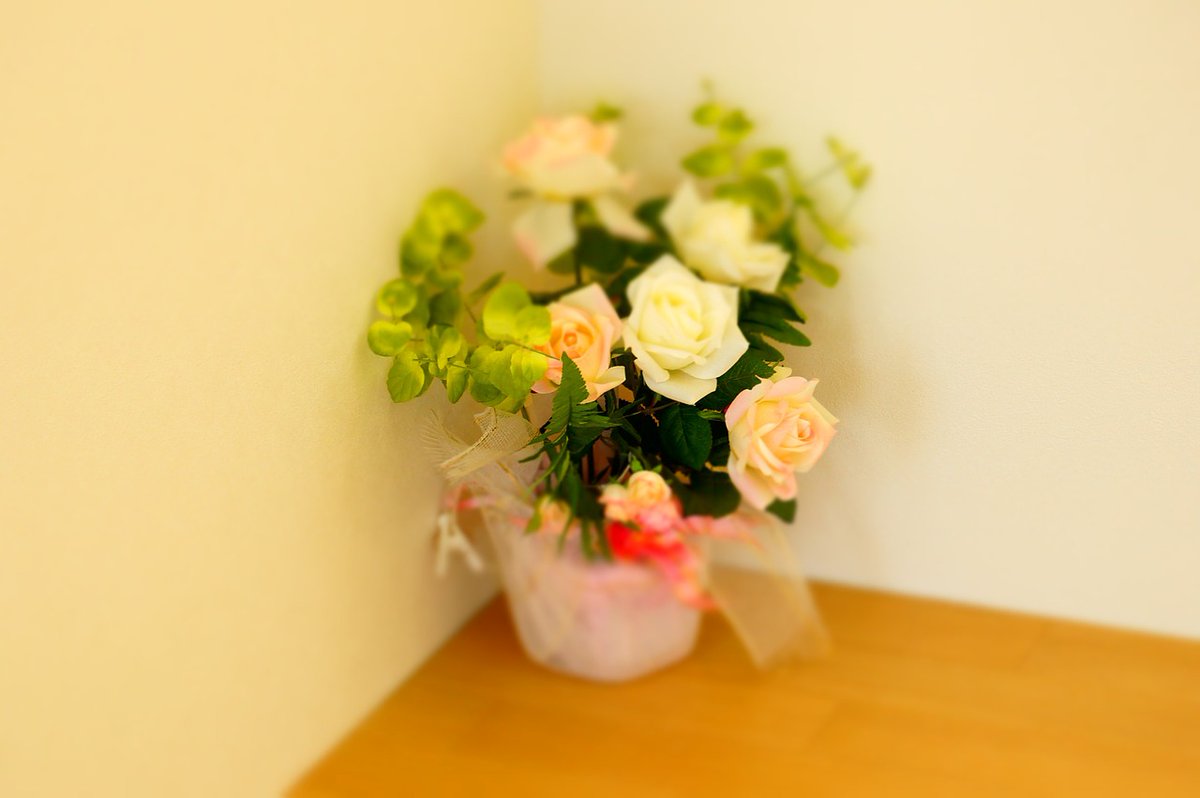 flakeybabe's tweet photo. Ảnh hưởng của Trung Quốc trên thế giới là không thể phủ nhận, nền kinh tế, văn hóa và công nghệ của họ tiếp tục định hình bối cảnh toàn cầu https://t.co/i3FfYGqznW