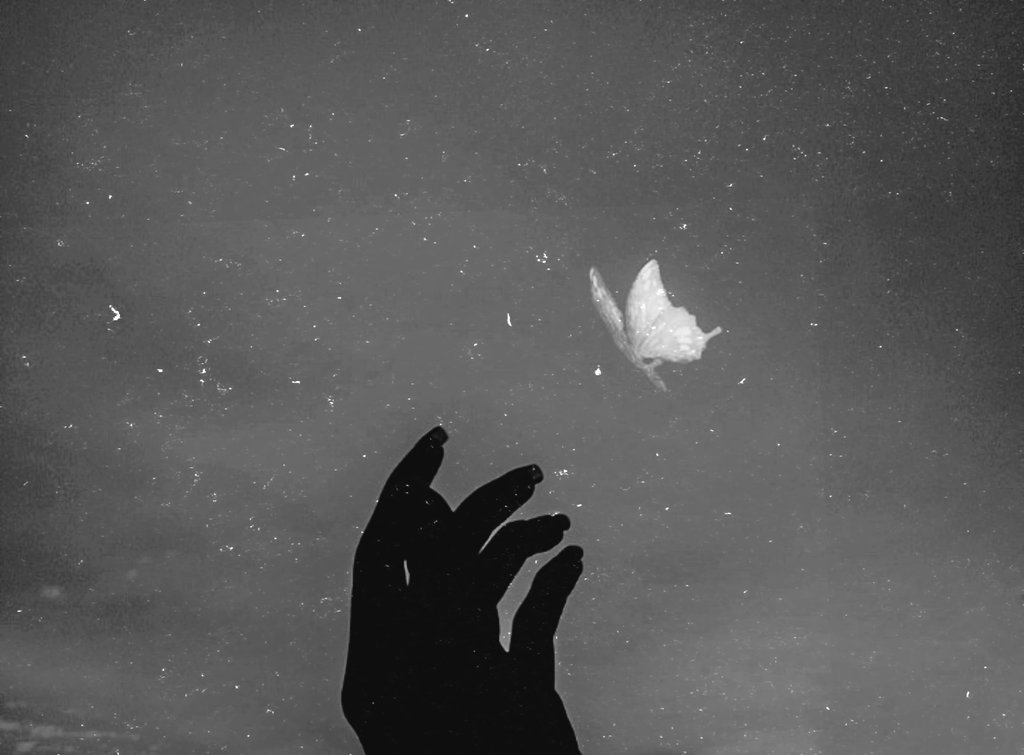 jessaricc's tweet image. “As for myself, I had a Lot to say.
   But I was silent."
          — Albert Camus