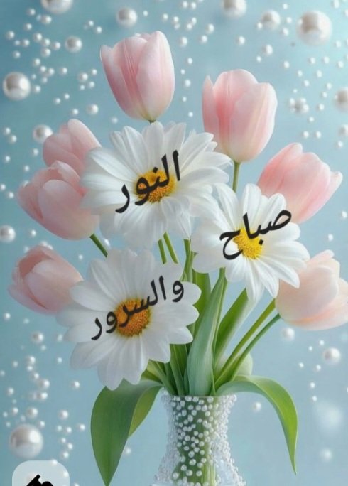 <a href="/Maya_5020/">آآآنين القلب</a> <a href="/Maya__5020/">آآآنين القلب</a> <a href="/Maya___5020/">حنيـﮯـن_الذڰرى</a> <a href="/Maya20__20/">🅼🅰y🅰</a> <a href="/Ratel205/">رتہيہل</a> مضت بذمةِ الماضي صيف ابٍ
حين حل الغياب بخط الكتابِ
كنتِ شمسا للروح اذا سكنت
اعدت للروح اشراق الشهابِ
مازال بالقلب لك وِداً محال
يموحُ غيابٌ غلفه الضبابِ
كنت نساجل همس الهوى دوما
مااروع العود اذ اضات شبابِ