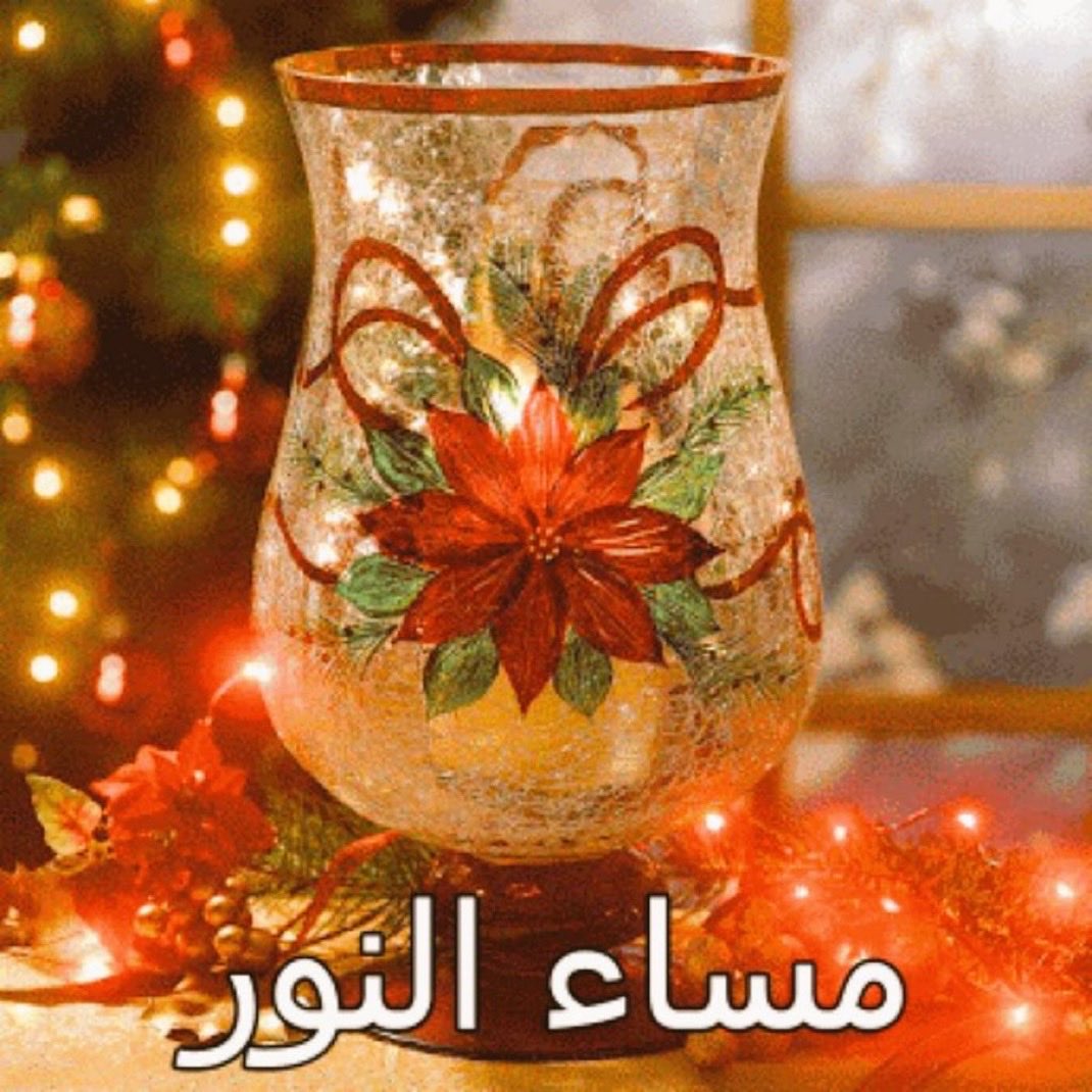 nwl1152421's tweet image. مساء يليق بقلبك، هدوءه طمأنينة وأوقاته أجمل مما نتمنى 🤍

#مساء_الخير_والسعاده_للجميع