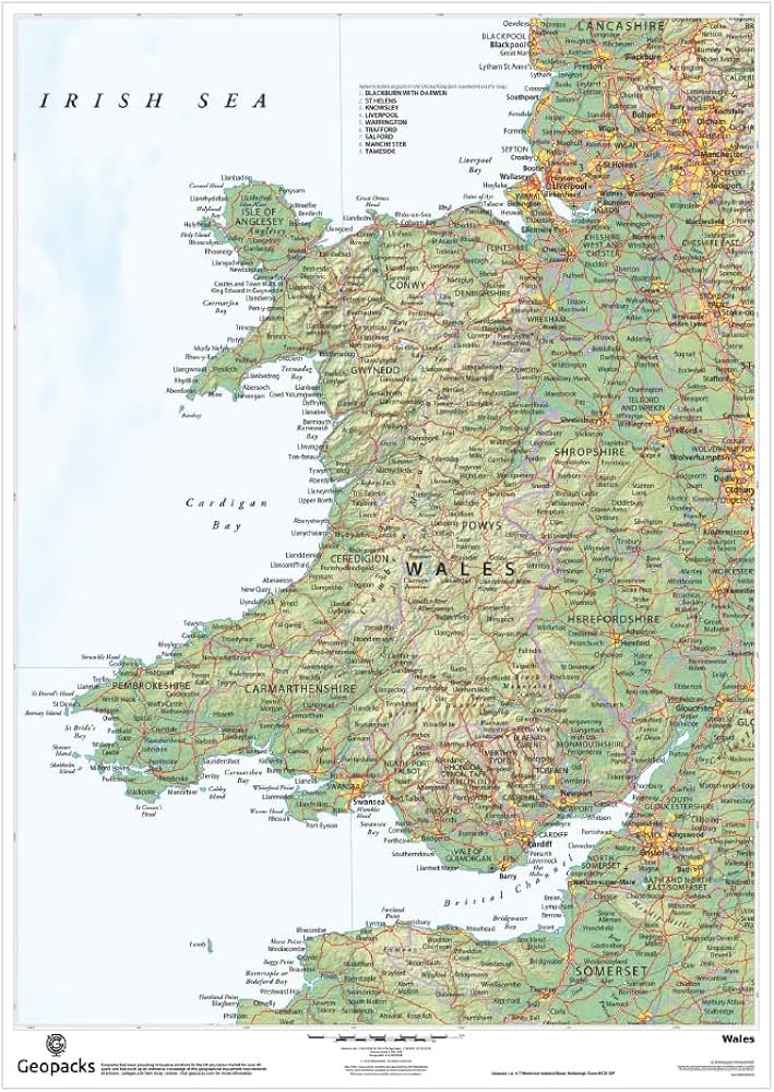 👑🐲 Yukiro Fayt ENVtuber 🏴󠁧󠁢󠁷󠁬󠁳󠁿 tweet media