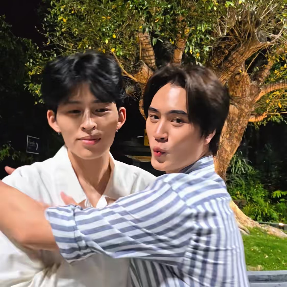 PPWL0VEBOT's tweet image. my clingy babies pondgem🥺