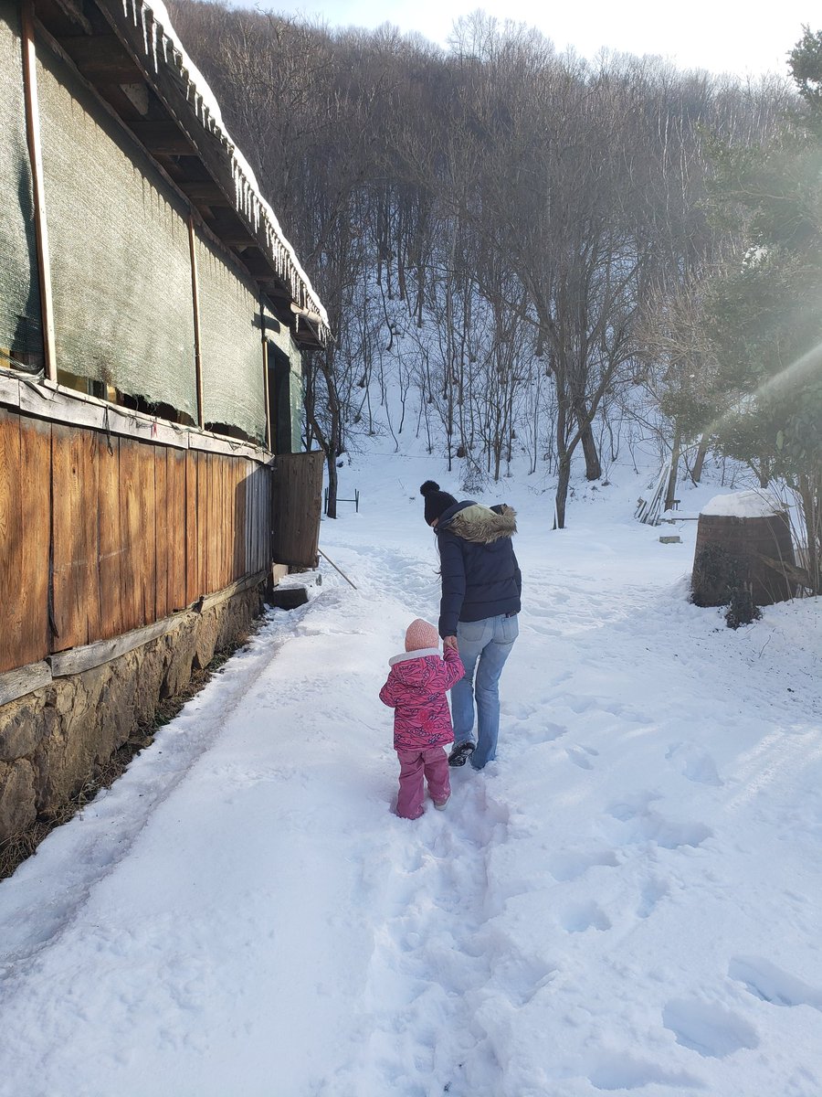 HParnasus's tweet photo. Going back to my roots! No longer an immigrant.. :))) 
Romania! https://t.co/9AQckpyqC2
