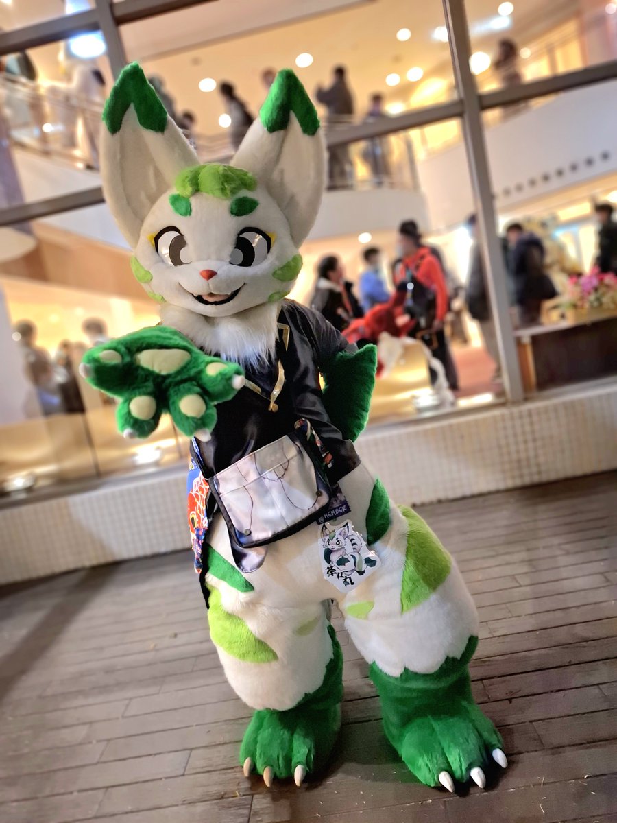 ちゃちゃまる 茶々丸 (@chachamaru_reef) / Posts / X