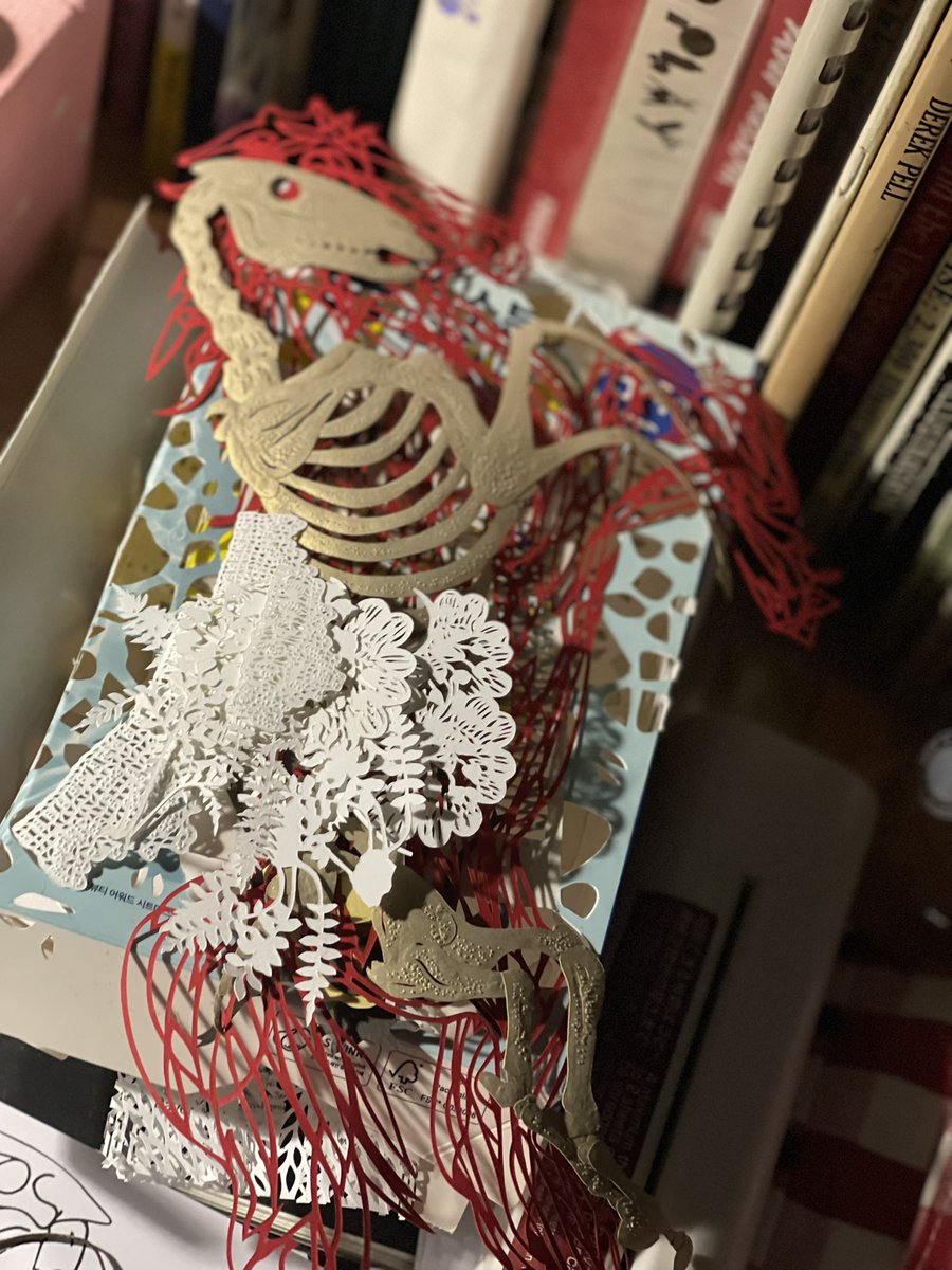 COLLAGECANTO tweet media