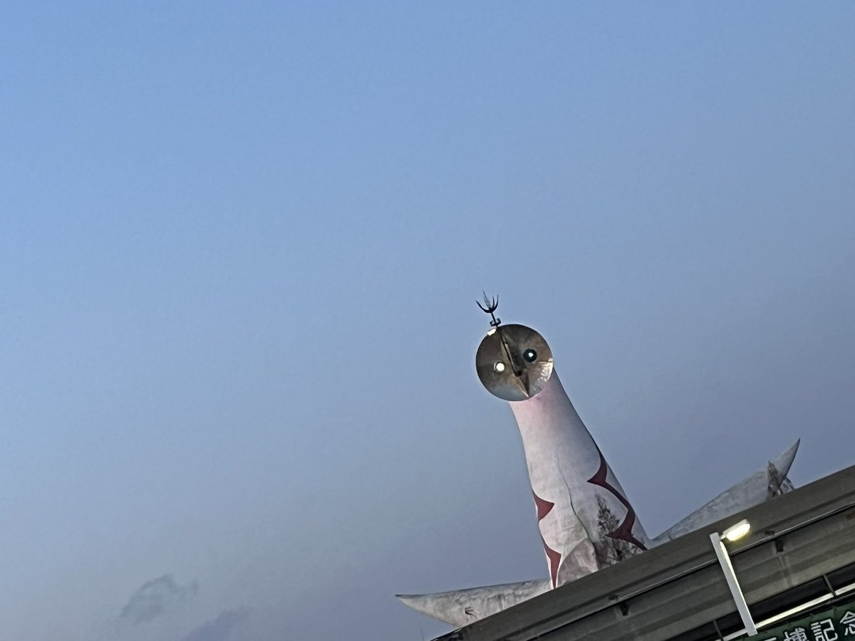 今日の主は寒そうやなー。
目から光線出しそうやなー。

さてー。どっから回ろかな。
とりあえず寒いから中入ろーう☻⋆͛⋆͛