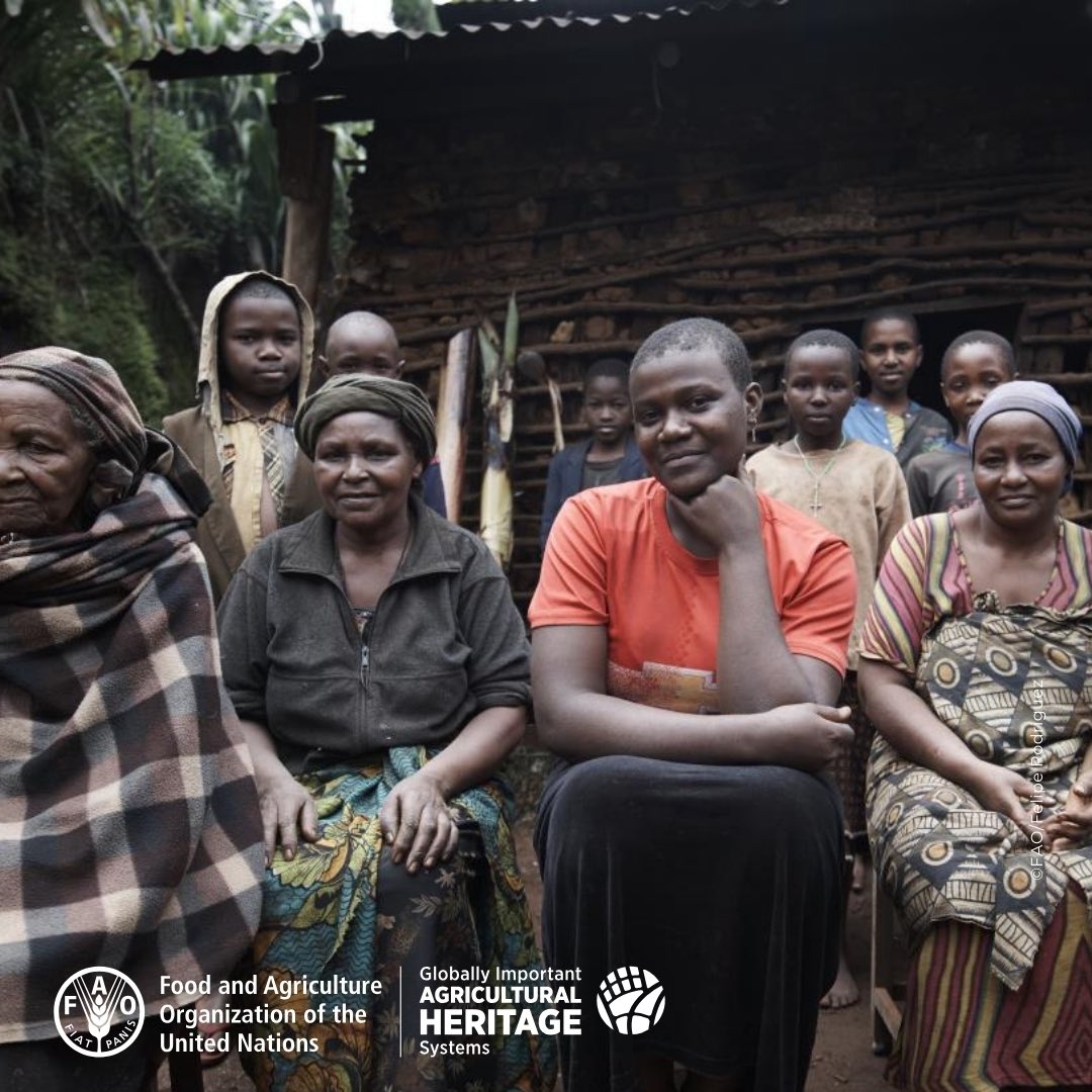 FAOclimate's tweet image. What if education happens in the fields?

In Shimbwe Juu, #AgriculturalHeritage lives through agroforestry knowledge passed down across generations, strengthening livelihoods and protecting biodiversity.

➡️ Discover this story: bit.ly/49VENAu

#EducationDay #GIAHS