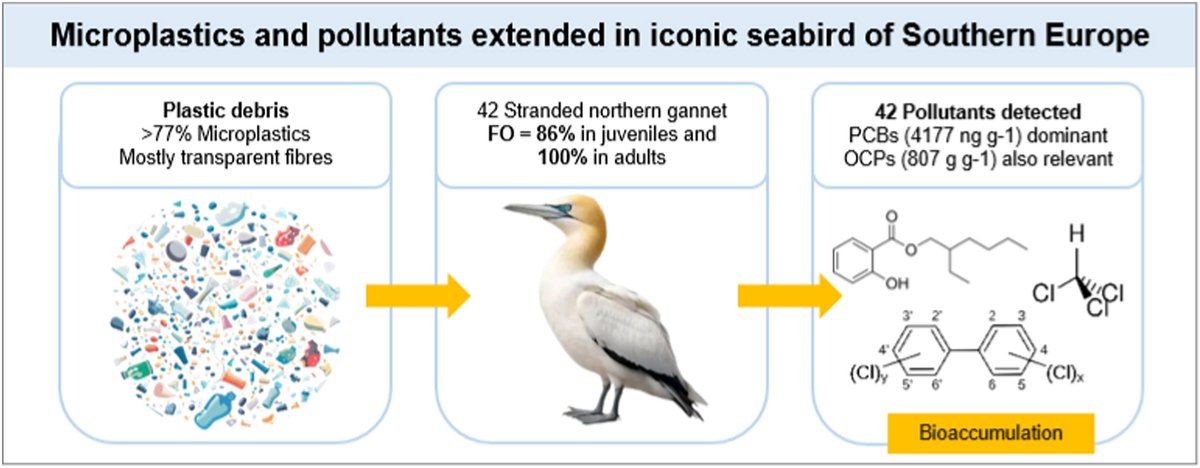 Packaging Group tweet media