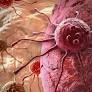 Chemistryaward's tweet image. MYC cancer gene suppresses immune alarm signals to protect pancreatic tumors
More Information: research-chemistry.blogspot.com
#sciencefather #researchchemistry #scientist #professor #biochemistry #phd #awards #tags