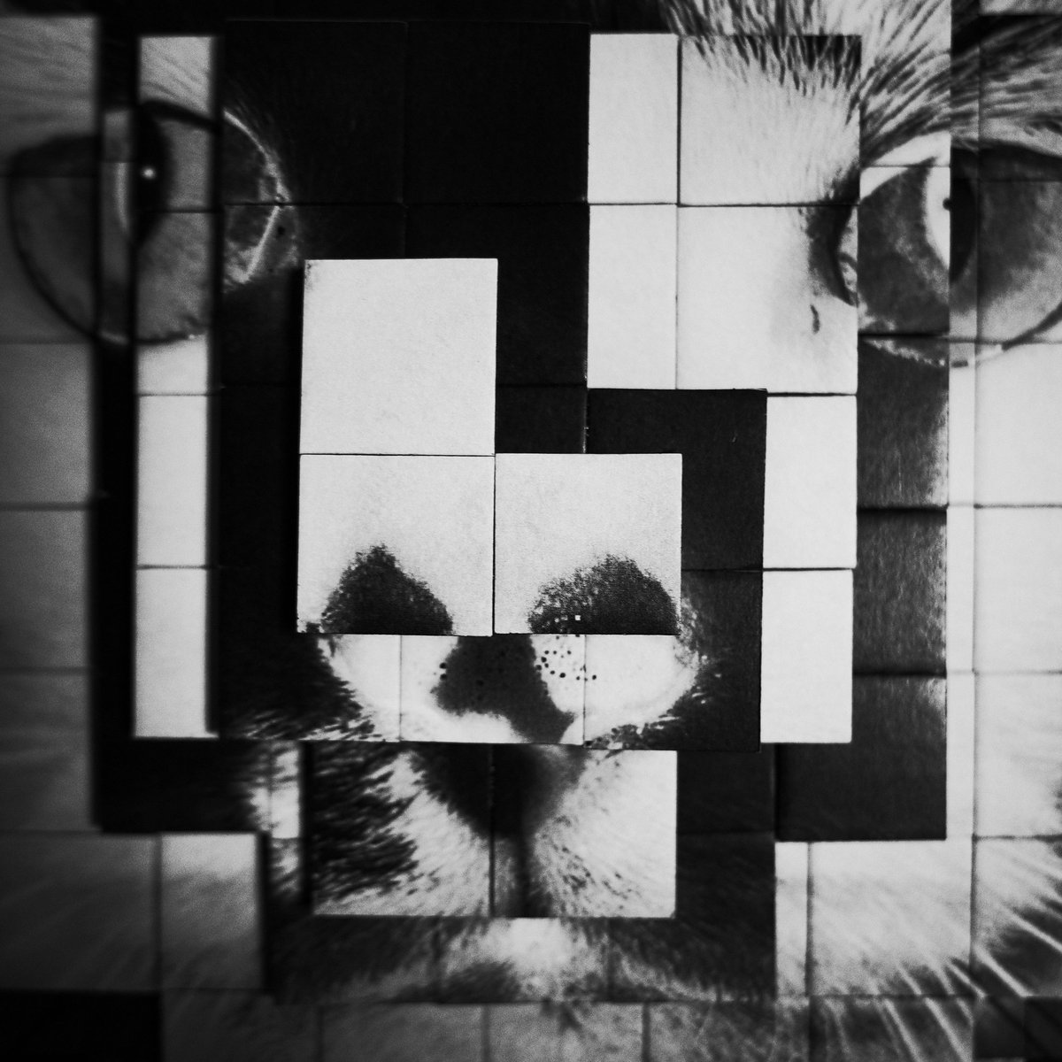 Completely new
「2.5D」