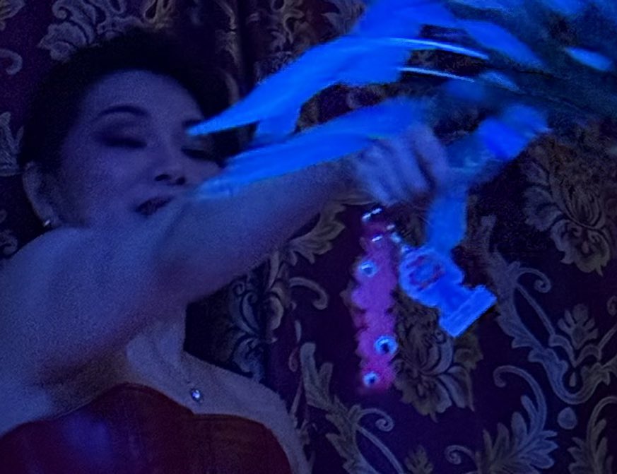 <a href="/hakka2bunnoichi/">ハッカニブンノイチ</a> でゲストて入ってくれた緋色ちゃんのショーでワイが最も気になったのは鞭とのカラーコーデなのかこいつが付いてたこと！！！