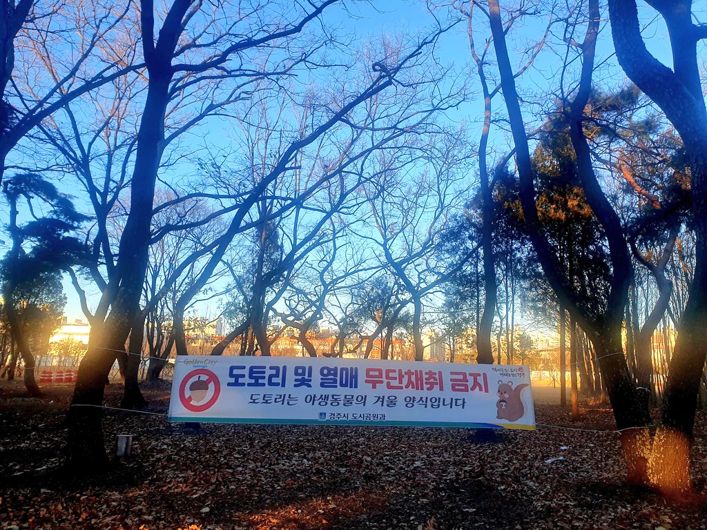 쨍하게 추운 오후
걷고왔더니 개운하다.