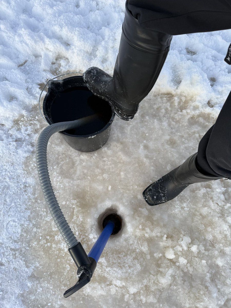 Rubman84 tweet media