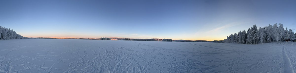 Rubman84 tweet media