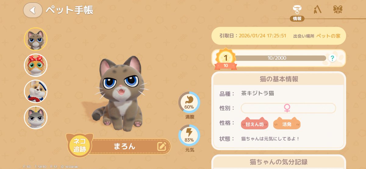 🏠️我が家に 新しい家族𓃠 まろん♀ お迎えしました～ฅ(*´꒳`*ฅ)ꪆﾆｬﾝ