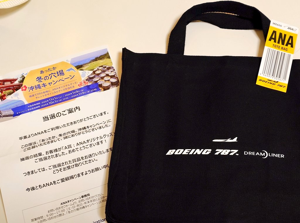 ANAスカイホリデー沖縄 キャンペーン 非売品オリジナルバック ANAスカイホリデー沖縄 キャンペーン 非売品オリジナルバック