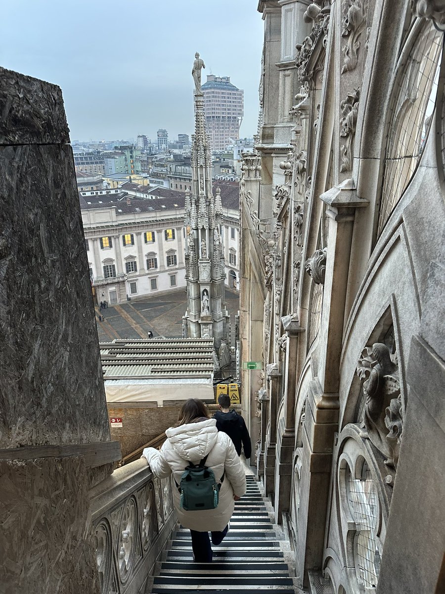 Meraviglia tweet media