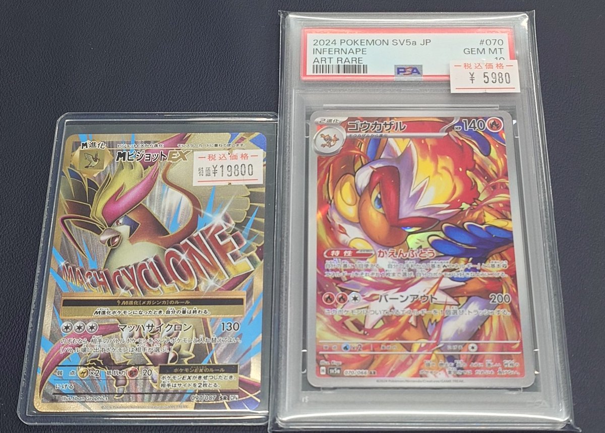 🌟入荷情報🌟 🪶MピジョットEX🪶 ✨訳あり特価