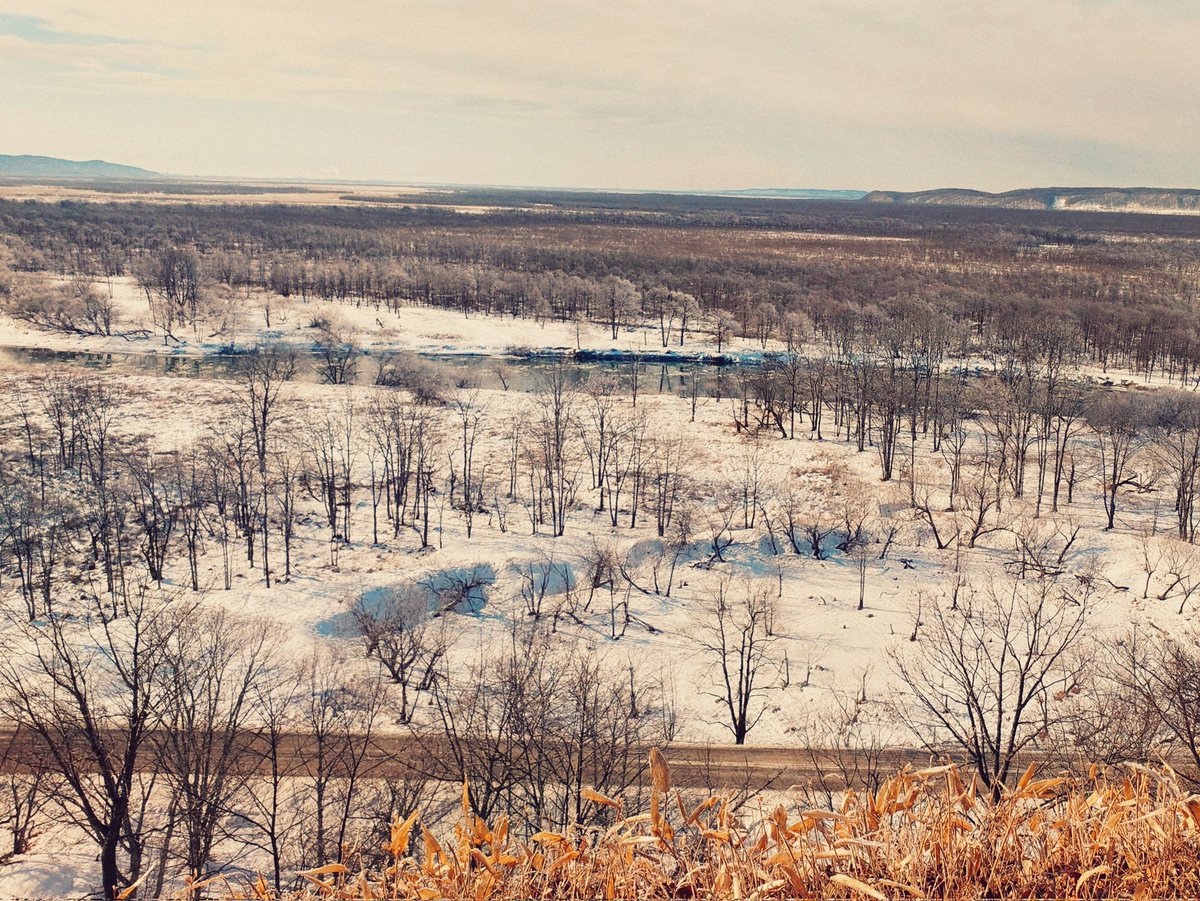 今日の釧路湿原。
-15℃くらいかな。機材持って小さな雪山登ってきた。さむかった。
#streetphotography #xperia #xperiaproi #徳島 #スナップ写真