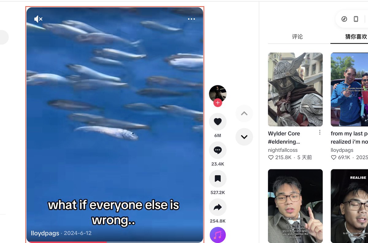 angle754445's tweet image. 顶级角度：如果所有人都错了呢（fish）

TikTok 观看量达 5000 万，点赞量达 600 万
跟penguin逆天而行的叙事一样，但是更广为人知。
来源可查：tiktok.com/@lloydpags/vid…