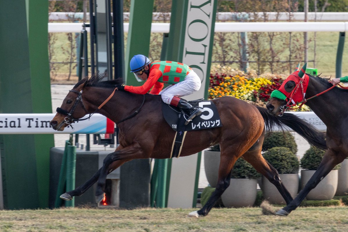 mayu (@my1_mayu) / Posts / X