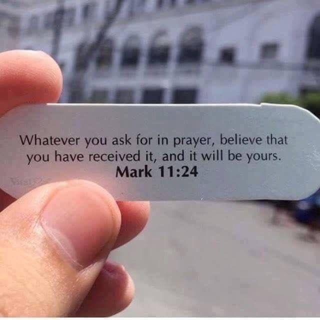 Holy Bible (@holy__bible1) on Twitter photo 