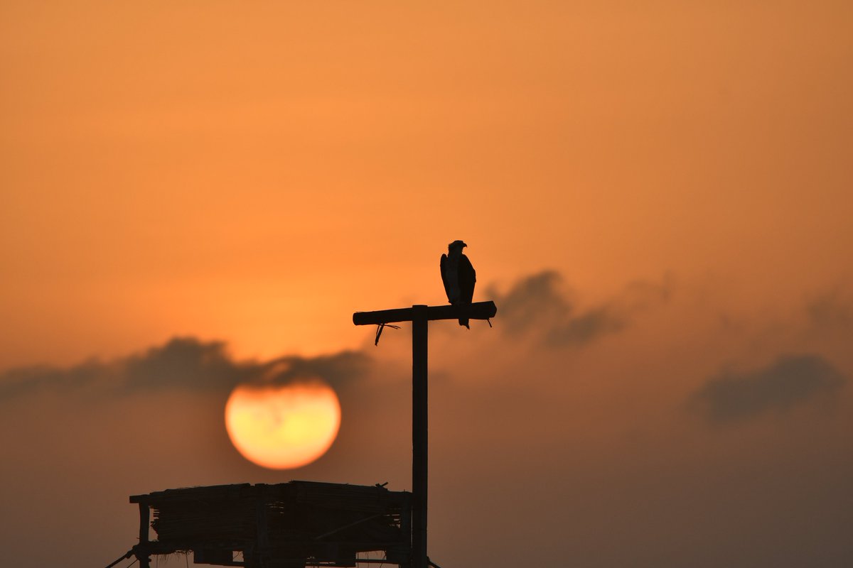 «الحق يحتاج إلى رجلين: رجل ينطق به، ورجل يفهمه»

اما ان يقال الحق, في غير وقته او لمن لا يتقبله او يفهمه , فالأفضل ان يبقى الشخص صامتاً.