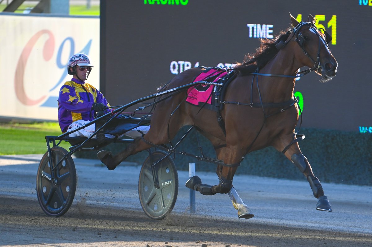 Club Menangle tweet media