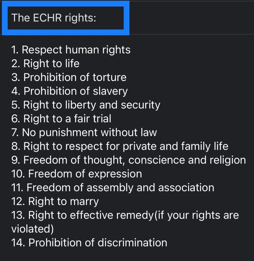 Heccles94's tweet image. So, which one of these human rights is it that you don't want?
