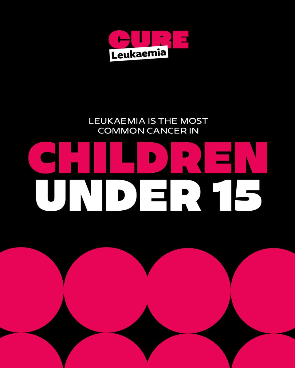 The Route tweet media