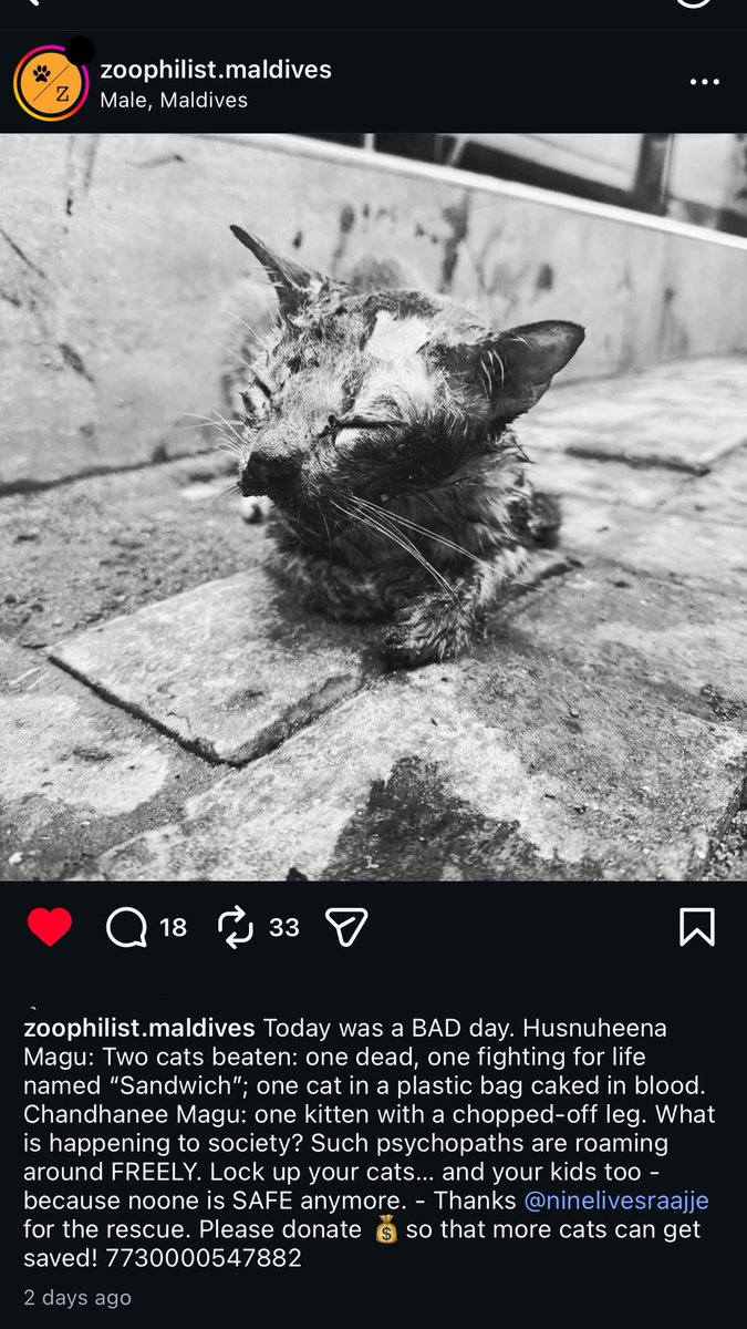 <a href="/hdcmaldives/">Housing Development Corporation</a> <a href="/MaleCitymv/">Malé City Council</a> <a href="/PoliceMv/">Maldives Police</a> hello? These posts are becoming more frequent and I don’t see any of you talking about this. Let alone taking any measure to prevent it or even speaking of it. This is happening in broad daylight too mind you.