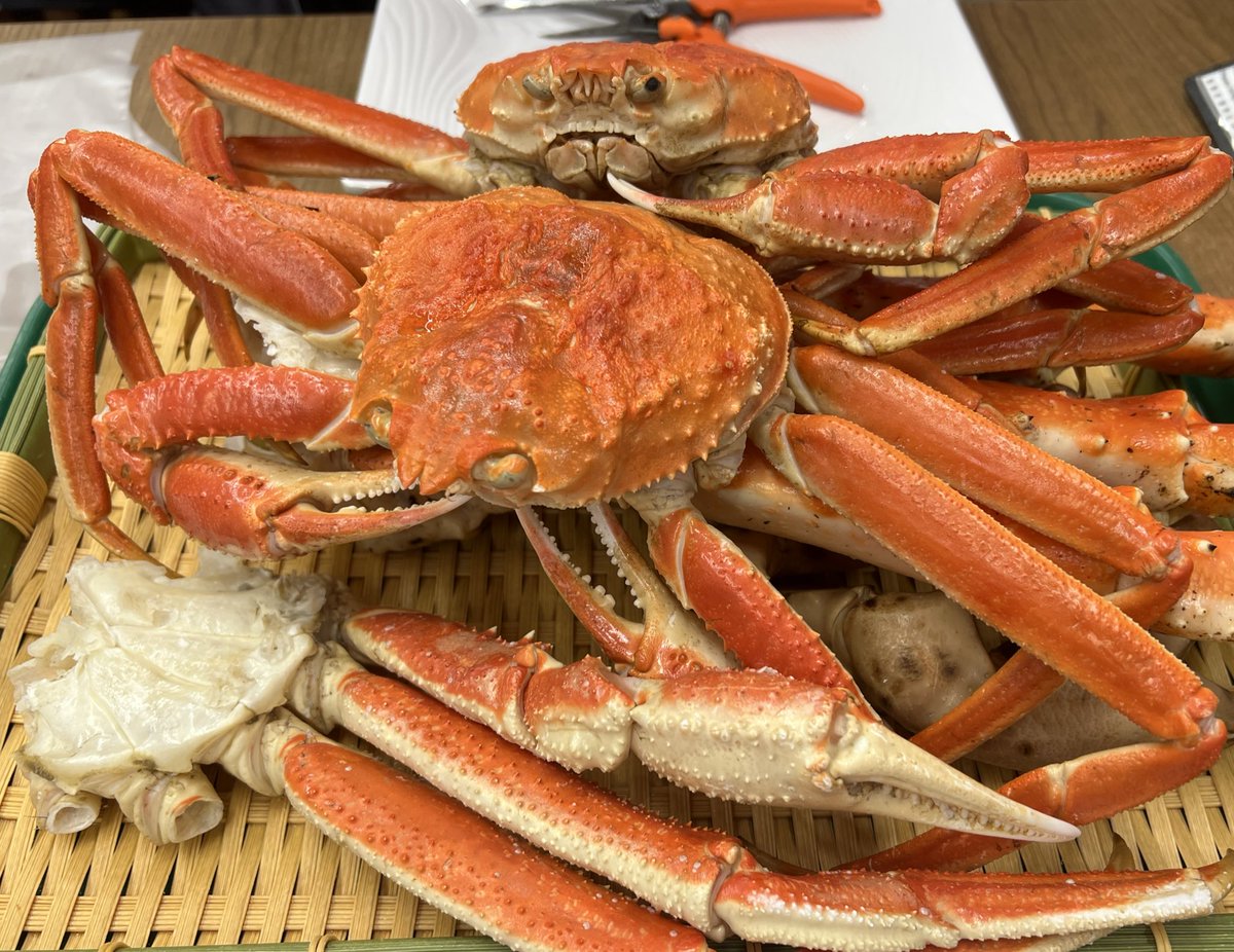 はがめん｡ #隊 (@REincarnationSL) / Posts / X