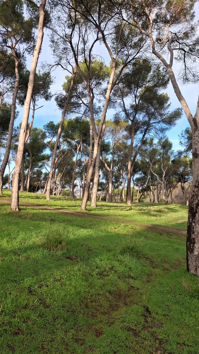 De buena mañana🥶