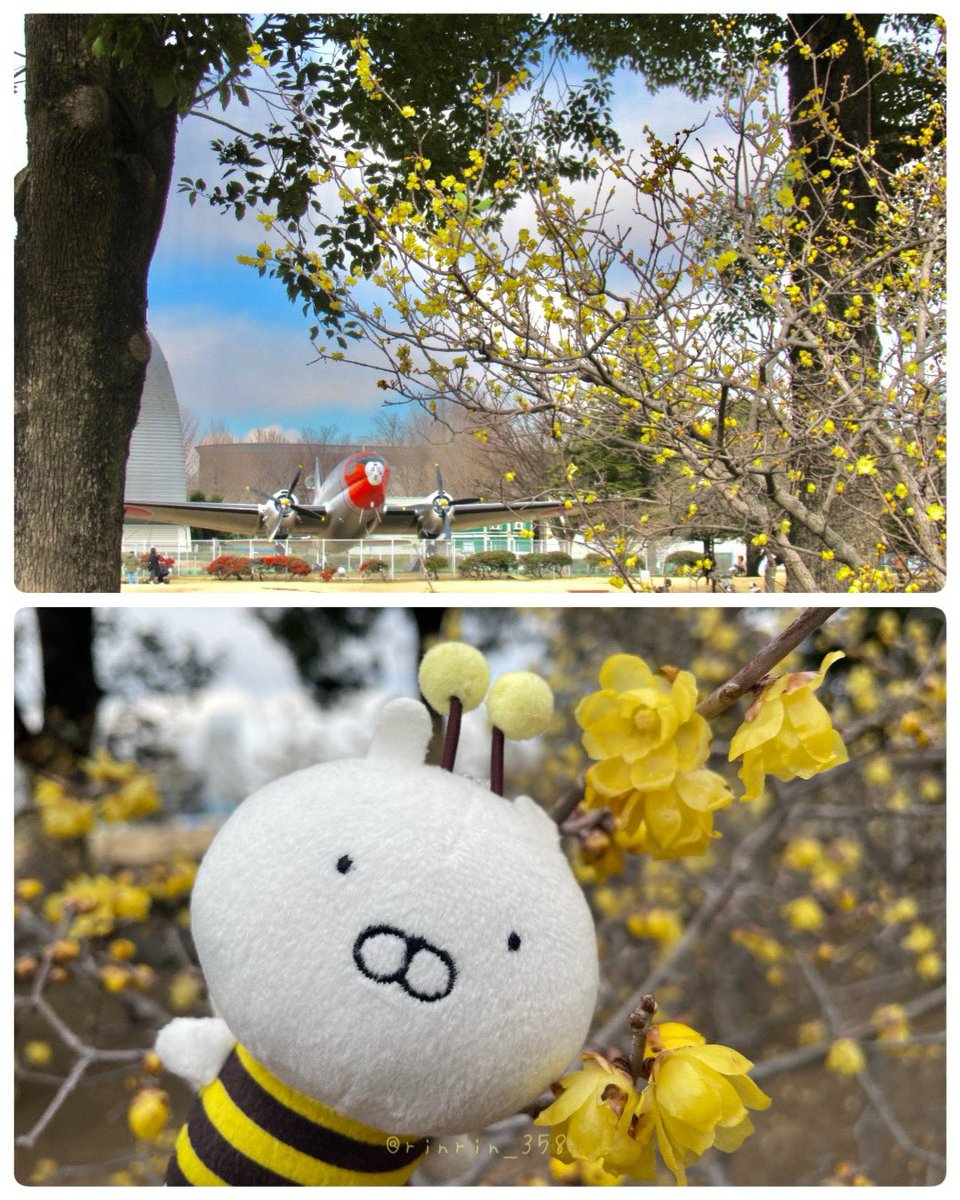 ☆りんりん☆ (@rinrin_358) / Posts / X