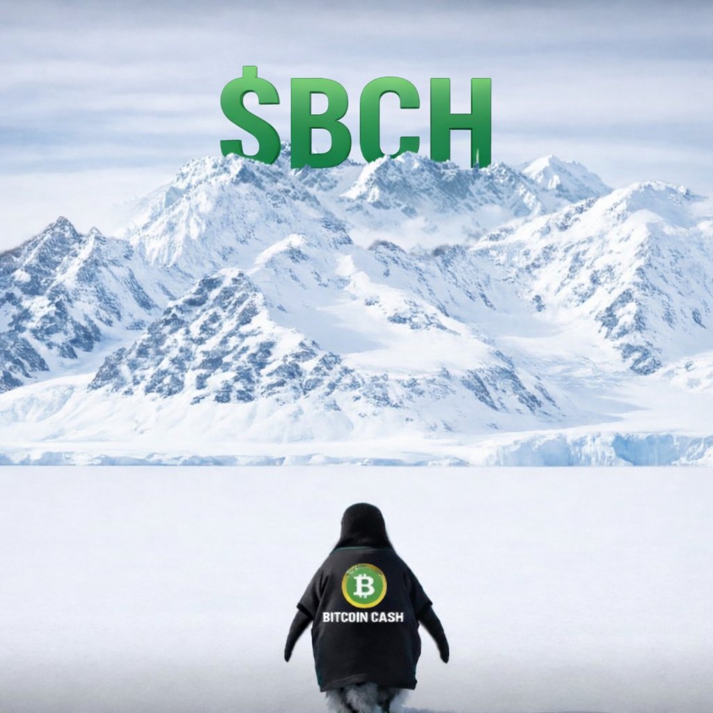 From the cold to the moon ❄️🚀 $BCH is waking up. #BitcoinCash  #CryptoCalling