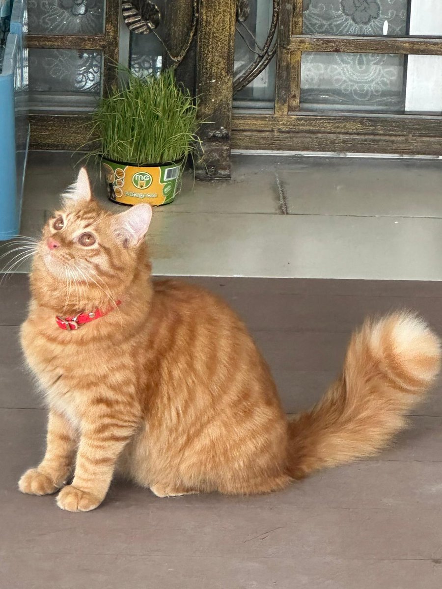 Then and now 💖 #AdoptDontShop