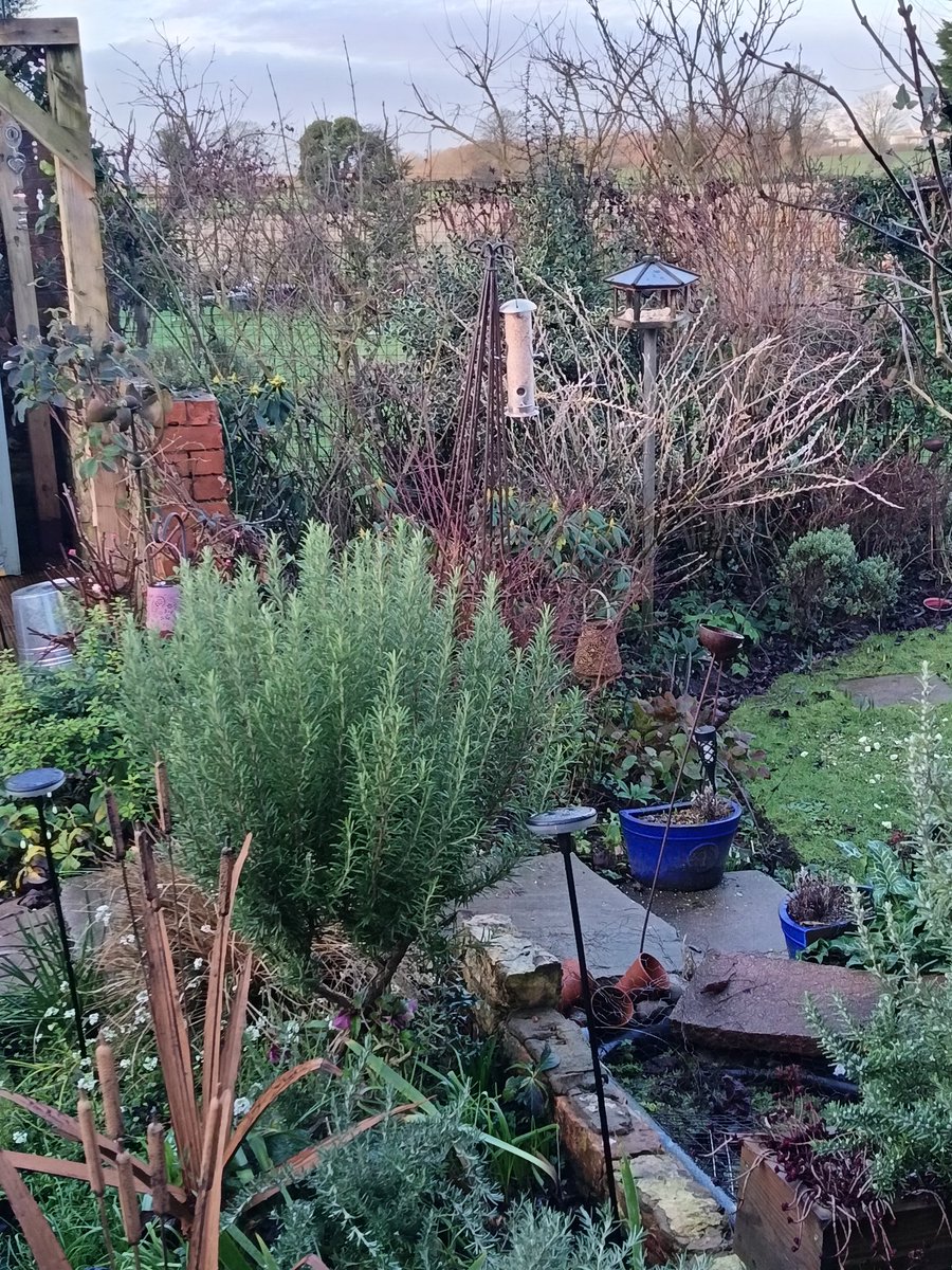 🌻 Justine Dixon 🌺 tweet media