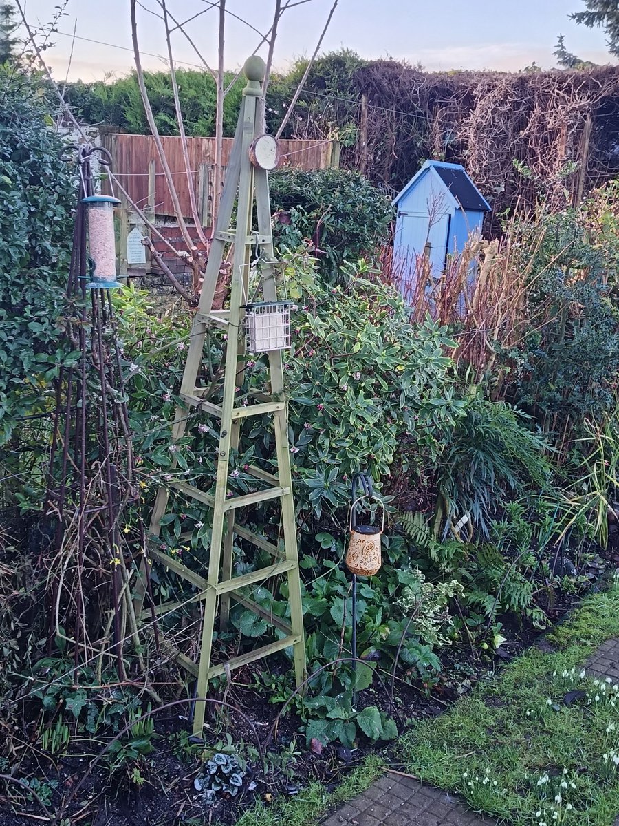 🌻 Justine Dixon 🌺 tweet media