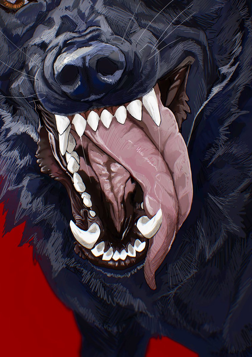 The_D0odleDoG's tweet image. 