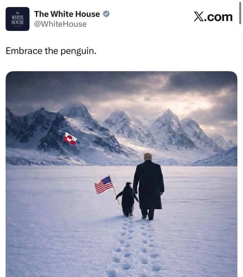 Neffvela's tweet photo. Alguien avísele a los gringos que el ártico no es hábitat de pingüinos 🤣 https://t.co/cTKUn1GCs2