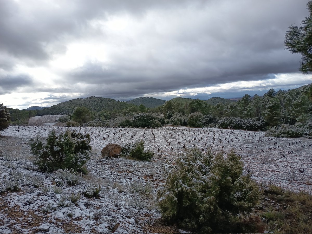 Fernando Cárcel 🚜 🍇 ⚡ ❄️ ☔ tweet media