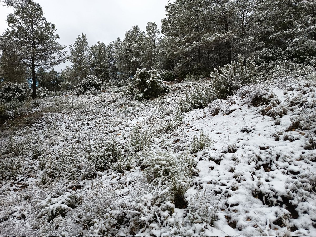 Fernando Cárcel 🚜 🍇 ⚡ ❄️ ☔ tweet media