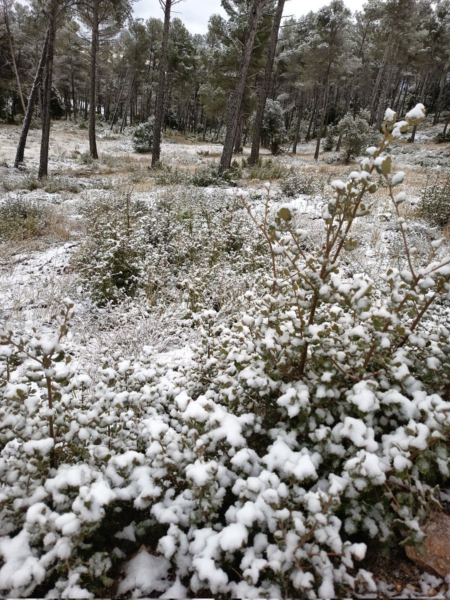 Fernando Cárcel 🚜 🍇 ⚡ ❄️ ☔ tweet media