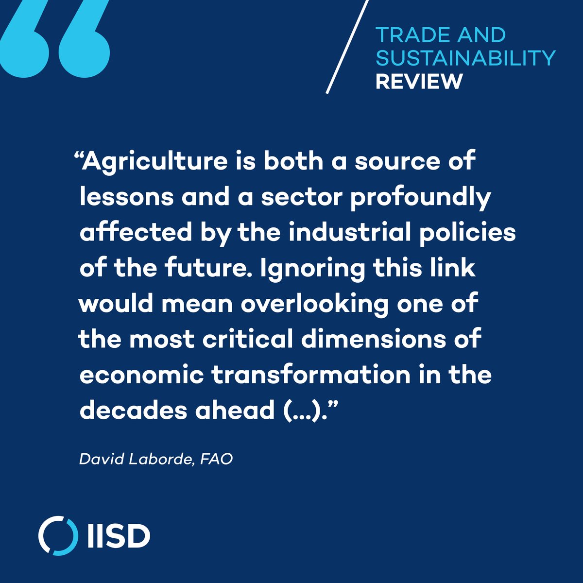 IISD Economies tweet media