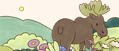 What I love most about Bruce is his builder’s mindset paired with genuine care for campers. He doesn’t just create systems — he teaches how to think, explore, and build with intention. That guidance is what turns Camp Haven into a place of real growth. 🏕️✨

<a href="/datahaven_xyz/">DataHaven 🫎</a>