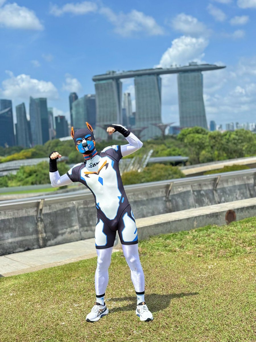 PupFengdi 🔜 🧶🚘 tweet media