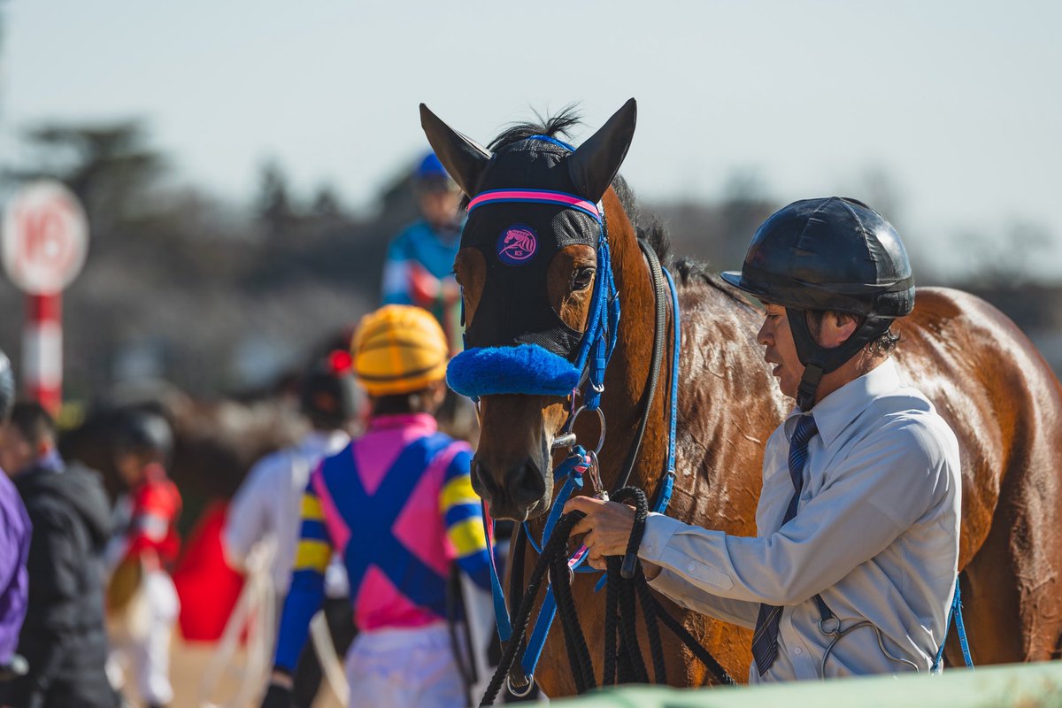 リトルコリンズは、8着でした。
無事にデビュー戦を迎えて、最後まで走りきることが出来ました。出遅れや4コーナーで外に振られる等ありましたが、終いは良い脚で頑張ってくれました。競馬に慣れてくれれば、楽しみになる内容でした。まずはデビュー出来まして、関係者の皆様ありがとうございました。